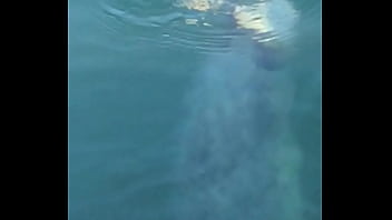 Preview 3 of Dog Stuck In Girl - Verification video