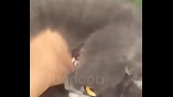 Preview 2 of Housewifetube - V&iacute_deo de verifica&ccedil_&atilde_o