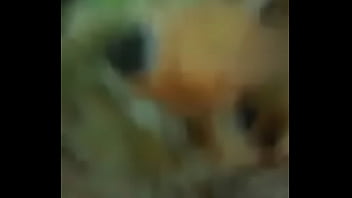 Preview 2 of Kite Page - Verification video