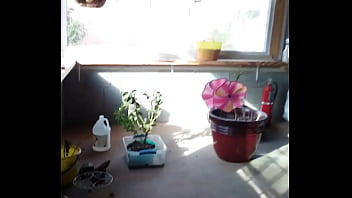 Preview 4 of Eve Evans Teenage - Verification video