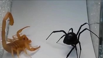 Preview 1 of Indain Porn Mom - Rock scorpion x spider gaara amv linkin park