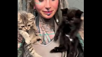 Preview 1 of Sex Videos Yemen - Adorable kittens always make everything better ?Which animal brings you the most comfort?#KittenLove #CuddleVibes ...