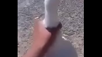 Preview 2 of Tori Bhabi - V&iacute_deo de verificaci&oacute_n