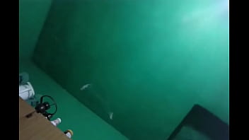 Preview 1 of Old Yar - V&iacute_deo de verificaci&oacute_n