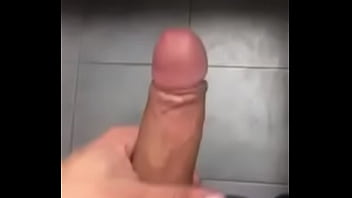 Preview 2 of Midget Horse - Ověřovac&iacute_ video