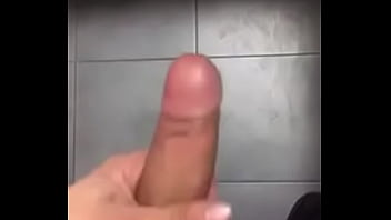 Preview 3 of Midget Horse - Ověřovac&iacute_ video