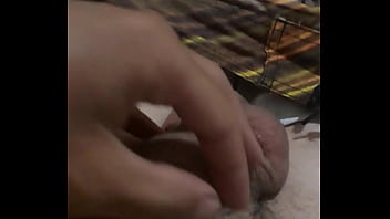 Preview 4 of Indian Booby Gf - V&iacute_deo de verifica&ccedil_&atilde_o