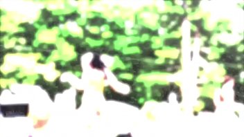 Preview 3 of Hrdcore Fucked - Festival Biishes vol. 1