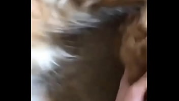 Preview 2 of Nifty Bareback So Big It Hurts - Verification video