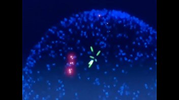 Preview 3 of Bomb Slut - Strawberry Panic cap 12