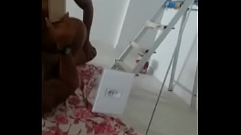 Preview 2 of Ebony Vagina - Casa nova