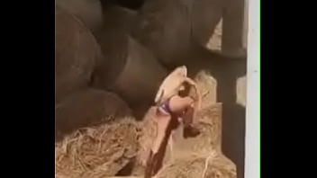 Preview 4 of Hentai Anime Cot - Lana spends some time with cows while wearing a bikini.