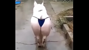 Preview 2 of Japanese Poping - This is some funny s.!!!