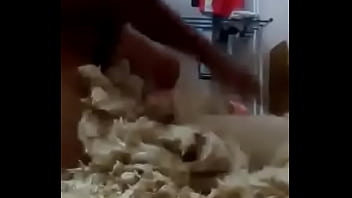 Preview 3 of Urgia Sotia - Fucking Pillows On Top of Other Pillows Destroyed