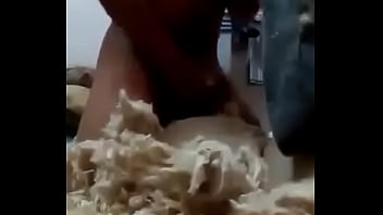 Preview 4 of Urgia Sotia - Fucking Pillows On Top of Other Pillows Destroyed