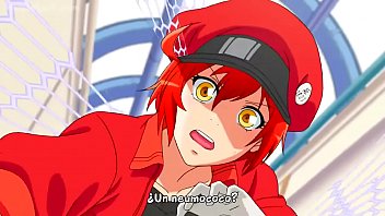 Preview 2 of Kinky Sunny Xnxx - Hataraku Saibou cap&iacute_tulo 1 sub espa&ntilde_ol