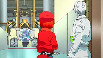 Preview 4 of Kinky Sunny Xnxx - Hataraku Saibou cap&iacute_tulo 1 sub espa&ntilde_ol