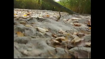 Preview 4 of Massage Reflxology Threesome - Tree hump at the lake