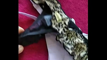 Preview 2 of Gadaha Katrina - Algumas calcinhas da minha mulher que uso
