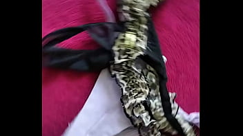 Preview 4 of Gadaha Katrina - Algumas calcinhas da minha mulher que uso