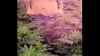 Preview 4 of Www 3x Bf - ? Yup&hellip_ It&rsquo_s Tuesday! ?Flipmoto1gmail1 #FlippoFarms#420