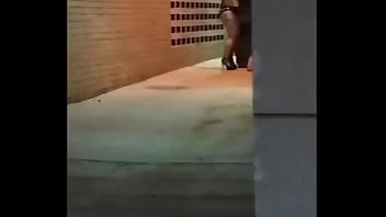 Preview 1 of Tube Videos Brotal Bdsm - Hooker Sucking Dick In An Alley