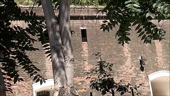 Preview 3 of Raped French Maid - Short Shot of Timișoara Romania
