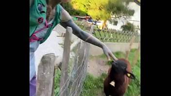 Preview 3 of Lana Rhodes Slave - Sweet little sheep on the way while running in Merion Wool! ??️What&rsquo_s the cutest animal you&rsquo_ve encounte...