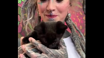 Preview 3 of Video Porno De Nicaragua - Kittens,  kittens,  kittens! ?What&rsquo_s your favorite kitten moment?#KittenObsession #Furry #CuddleBuddies #InkedMode...