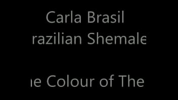 Preview 1 of Lorinha Casada Gostosa - carla brazil
