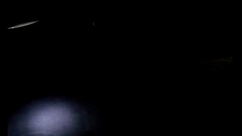 Preview 2 of Netherlandporn Bestiality - Are You Shivering? A PMV To Play In The Dark