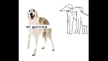 Preview 4 of Girl Teasing Dog - Los Borzoi - El Gonsa (Single Completo)