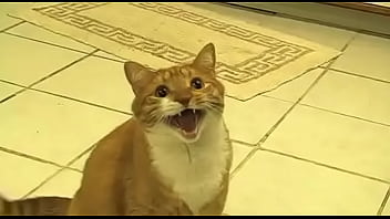 Preview 4 of Amen Shower Sex - Gato xd