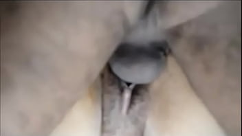 Preview 4 of All Sex Video New - Indian Bull fucking COW,  anal &amp_ pussy