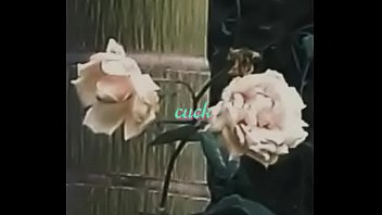 Preview 2 of Free Online Cams Korean - Link - cuck