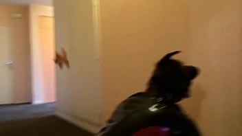 Preview 2 of Bf Khoon Khachar Wali - Puppy play in Hallway