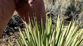 Preview 1 of Decxxx Usa - Self foreskin playpiercing with agave thorn in desert