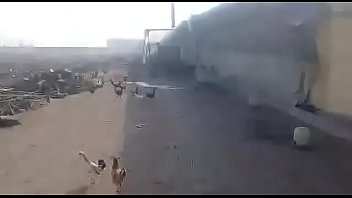 Preview 2 of Xxx Pornocrafia - Botando as galinha pra correr escola Estadual Muria&eacute_-MG