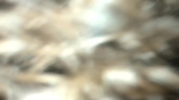 Preview 1 of Fack Baba - Someone&rsquo_s sucking my dick