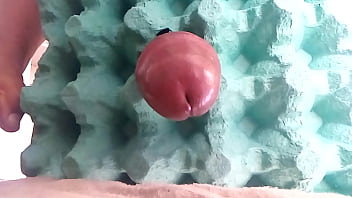 Preview 3 of Porn Nabi Ali - Meu pau apanhando na cabe&ccedil_a at&eacute_ gozar