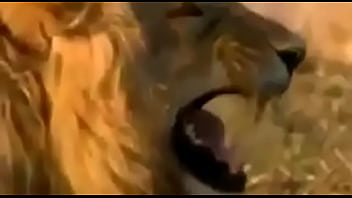 Preview 4 of Xxx Malayalam Anty Sex Videos - Latin hot