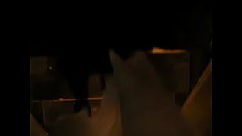 Preview 4 of Rosemary R - walking down steps in my slip
