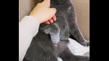 Preview 1 of Xxx Sex Chinich Videos Hd - Hi ch&agrave_o mọi ng