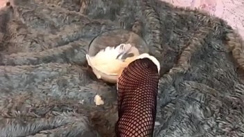 Preview 3 of Xxxvideos 2005 - Pedalia Love&#039_s Dipping Fishnets in Yogurt with Pink Heels