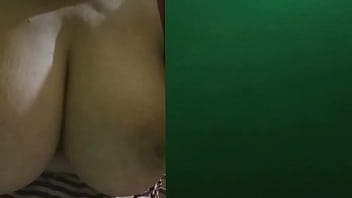 Preview 3 of Anjing Danmanusia - Bigcock