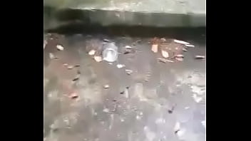Preview 1 of Ethiopian Girl Sex - dando na escadaria da le&atilde_o Videira-SC