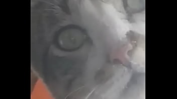 Preview 4 of Photostate Sex Hd - Kddkkddkddk
