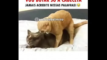 Preview 2 of Xxxxxvifeos Dounlod - YOUTUBE CAIU OLHA NO QUE DEU,  agora estamos aqui? ajsjaj