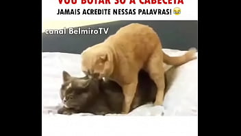 Preview 3 of Xxxxxvifeos Dounlod - YOUTUBE CAIU OLHA NO QUE DEU,  agora estamos aqui? ajsjaj