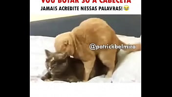 Preview 1 of Xxxxxvifeos Dounlod - YOUTUBE CAIU OLHA NO QUE DEU,  agora estamos aqui? ajsjaj